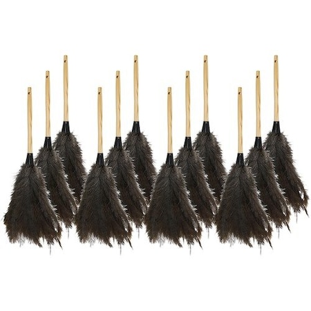 Bsc Preferred DUSTER, FEATHER, 18in, 12PK GJO90118CT